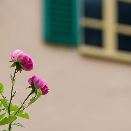 Ca'd'ambra Bed & Breakfast Groscavallo