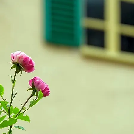 B&B Ca'd'ambra 3*